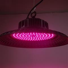 Wholesale grow light